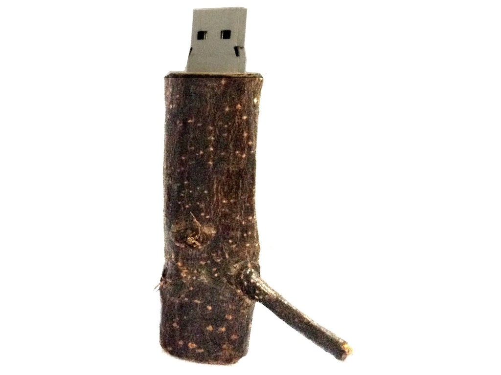 WGS-TREE — You can't be more ecological: a USB memory inside a natural wood branch. I don't know