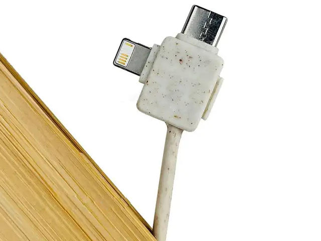 ECOCABLLAVERO5.jpg